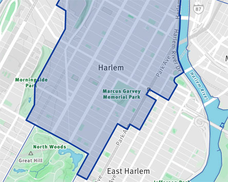 This Week: Hear From the Candidates for Vacant Harlem Council Seat