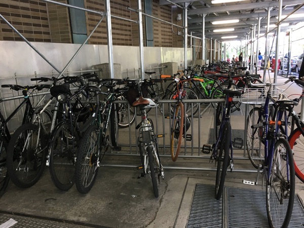 A row of bike racks catty-corner to where the plaza would be. Racks on Haven itself were just as busy.