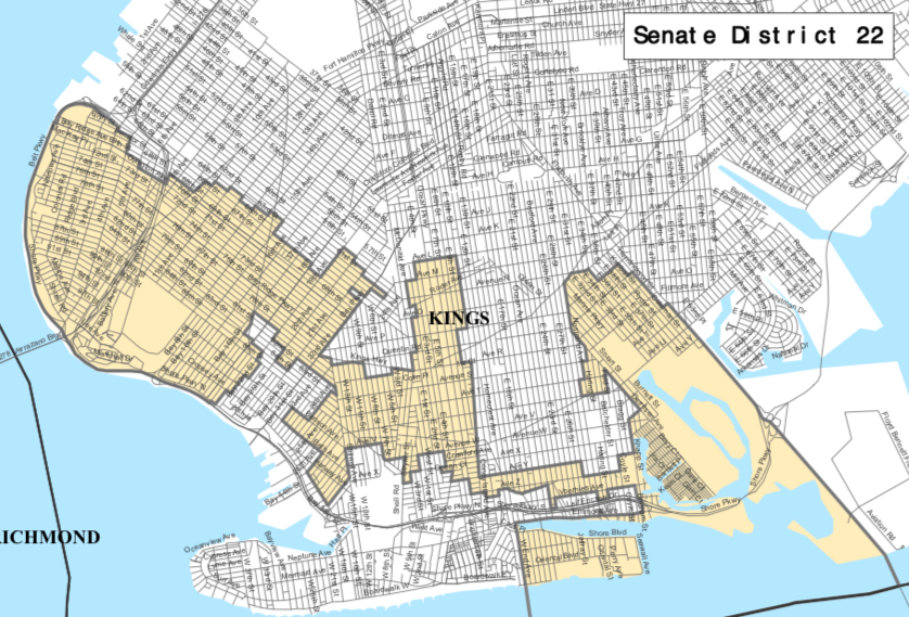 State Senate District 22