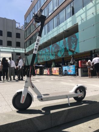 E-Scooter Deaths Show Urgent Need for Safer Streets