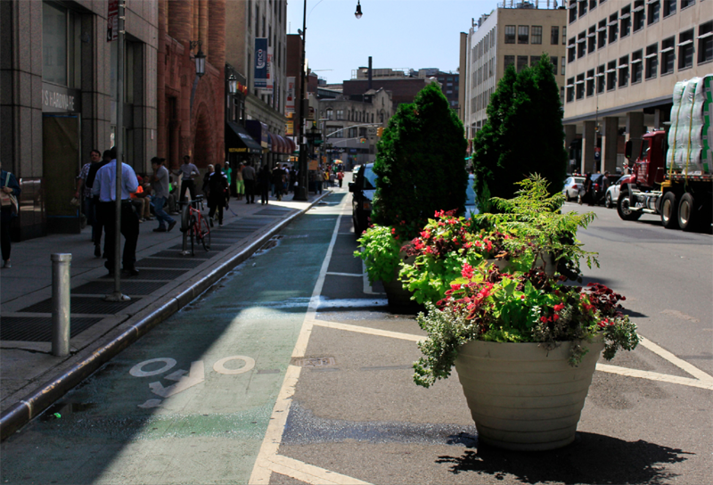 Eyes on the Street: The Plant-Based Solution to Bike Lane Blockage