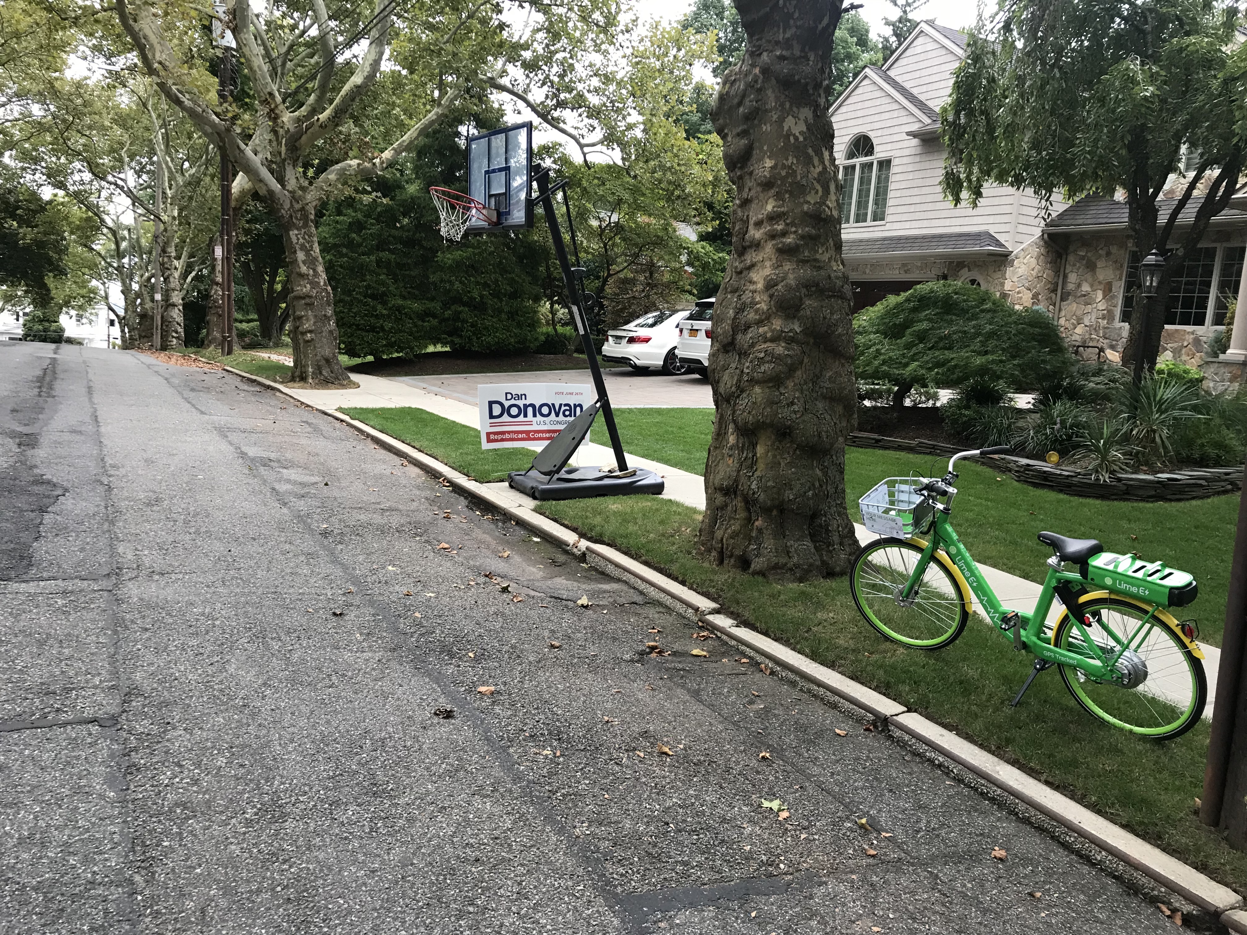 Dockless bikes end up in random places. Photo: Gersh Kuntzman