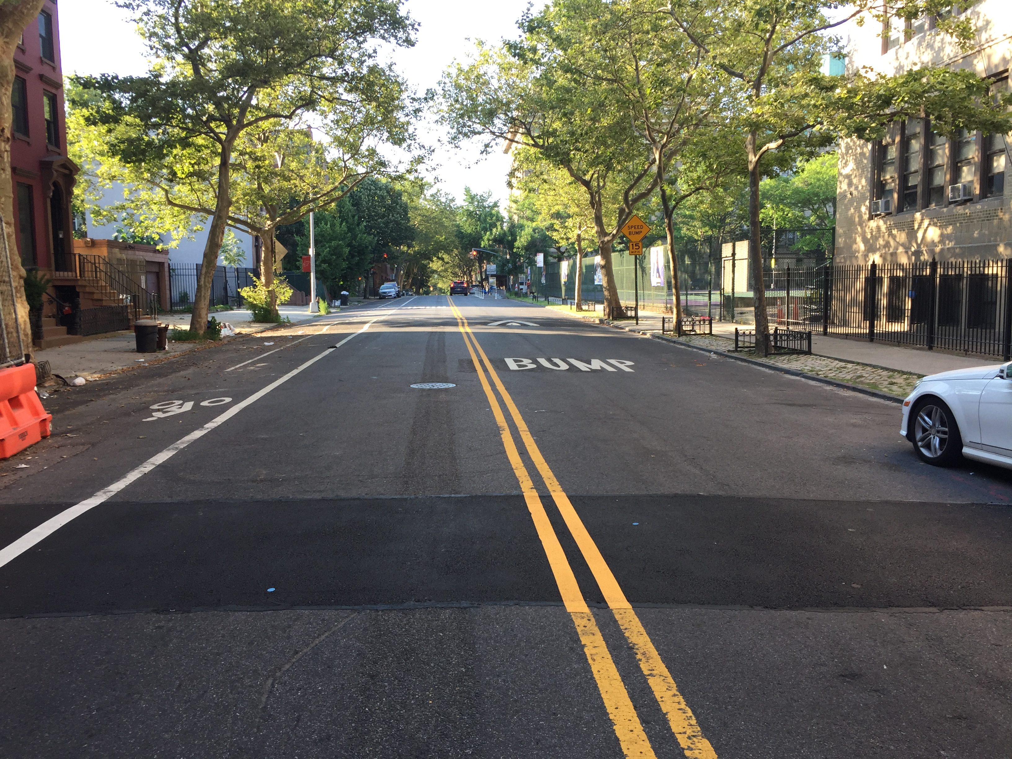 Fort Greene in the summer.