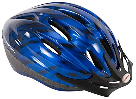 De Brainless: Mayor Endorses Meritless Helmet and Licensing Requirements for Cyclists