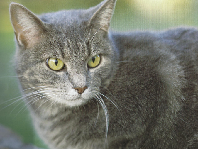 Thursday’s Headlines: See You in the ER Edition