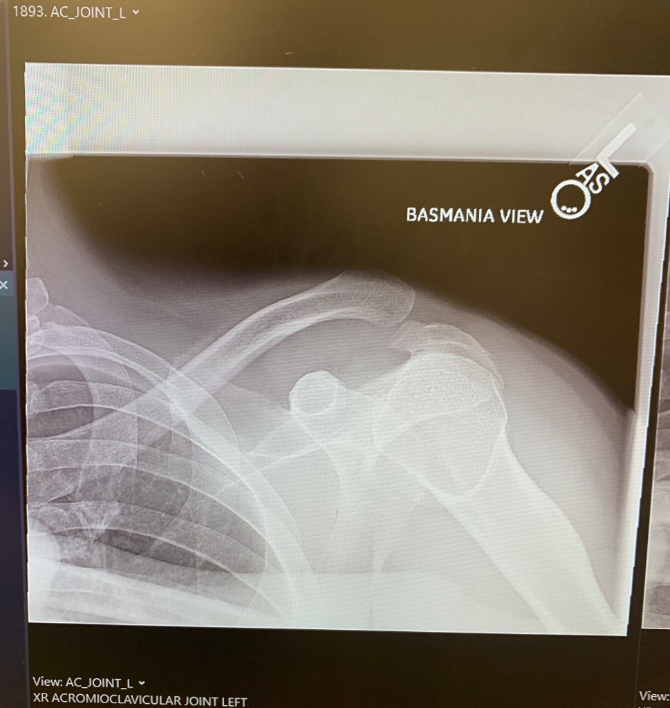 Friday’s Headlines: Not Feline So Well Edition