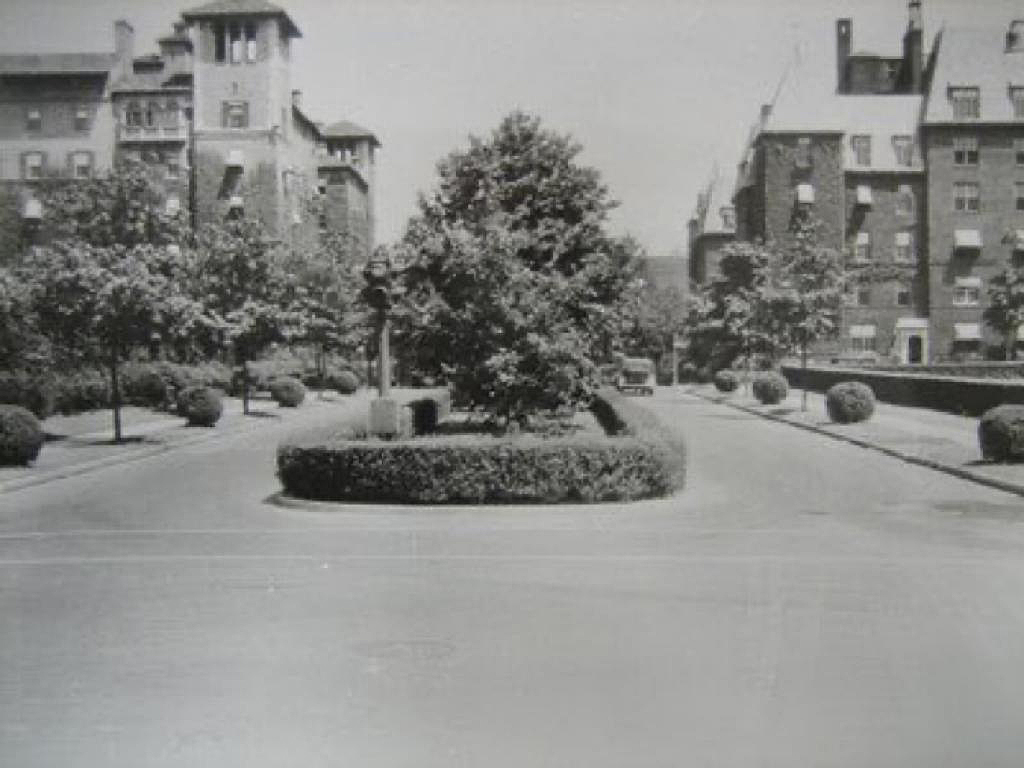 THOSE WERE THE DAYS: What Car Culture Has Cost Us