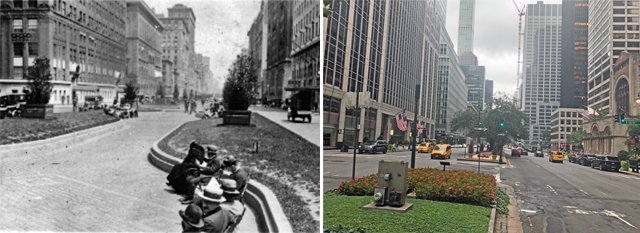 UPDATED: Is the Park Avenue Median Getting a Revamp?