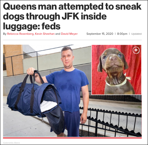 Thursday’s Headlines: Dog Day Afternoon Edition