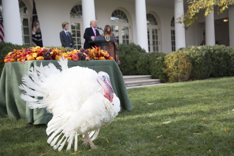 Thursday’s Headlines: Pardoning Turkeys Edition