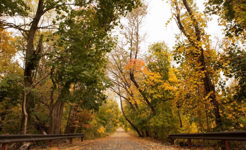 A part of the Vanderbilt Motor Parkway, which activists are seeking to make part of the Eastern Queens Greenway. Photo: EdisonKoo.com