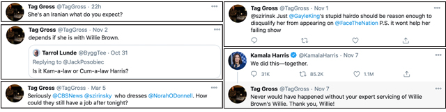 Tag Gross advises Council Member Helen Rosenthal on transportation policy, despite a public record of misogyny and hate — and no transportation background.