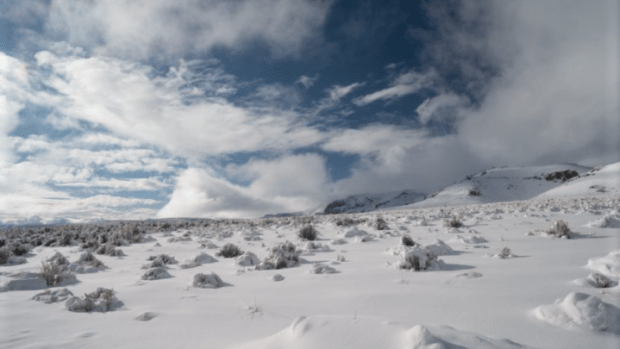 Lithium Mining and the Hidden Environmental Costs of EVs