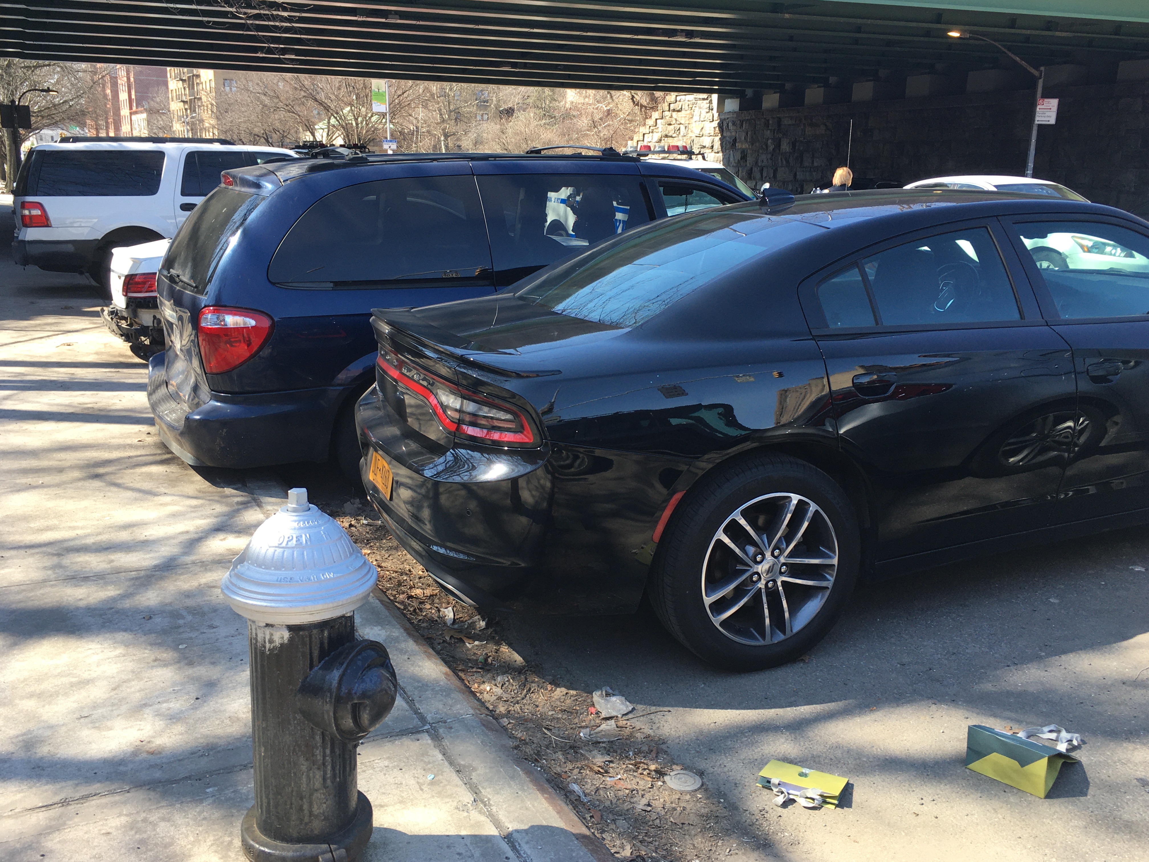 A blocked fire hydrant in front of the 52nd Precinct on Webster Avenue in the Bronx. Photo: Eve Kessler
