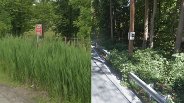SORRIEST BUS STOPS 2021: Trenton vs. Narberth (Yes, That Narberth)
