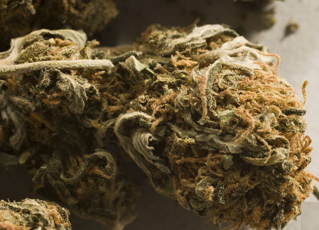 Monday’s Headlines: Joint Session Edition