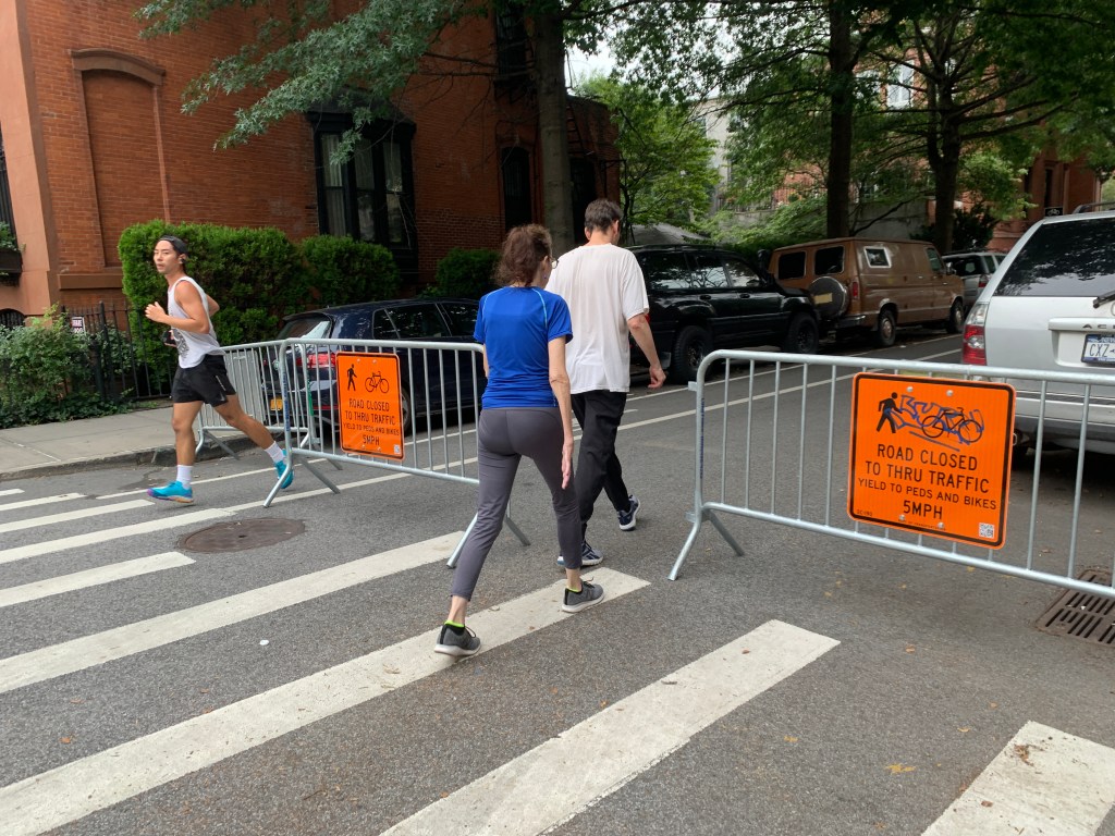 WHAT A DAY: City Erased a Popular Fort Greene Open Street — Then Reinstalled it After Protests