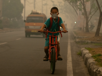 Advocates Demand Global Leaders Increase Bike Mode Share