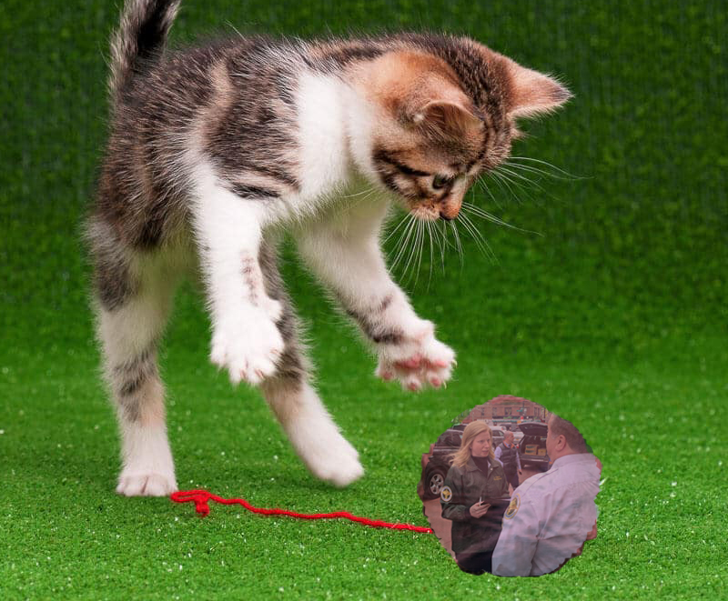 Tuesday’s Headlines: Today’s Shiny Object Edition