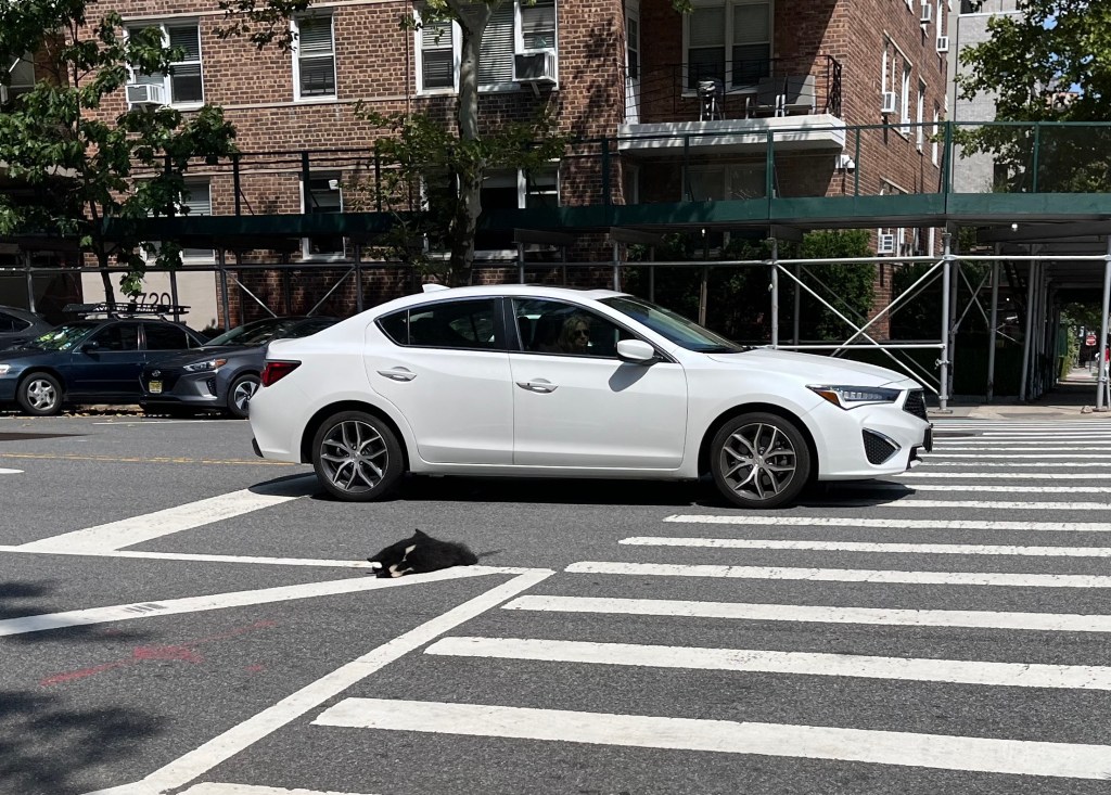 UPDATED: Monday’s Headlines: ‘Dead Skunk in the Middle of the Road’ Edition