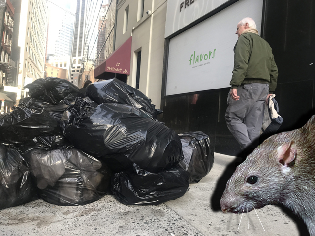 OH, RATS! Experts Say Outdoor Dining is Not to Blame for the City’s Rodent Problem