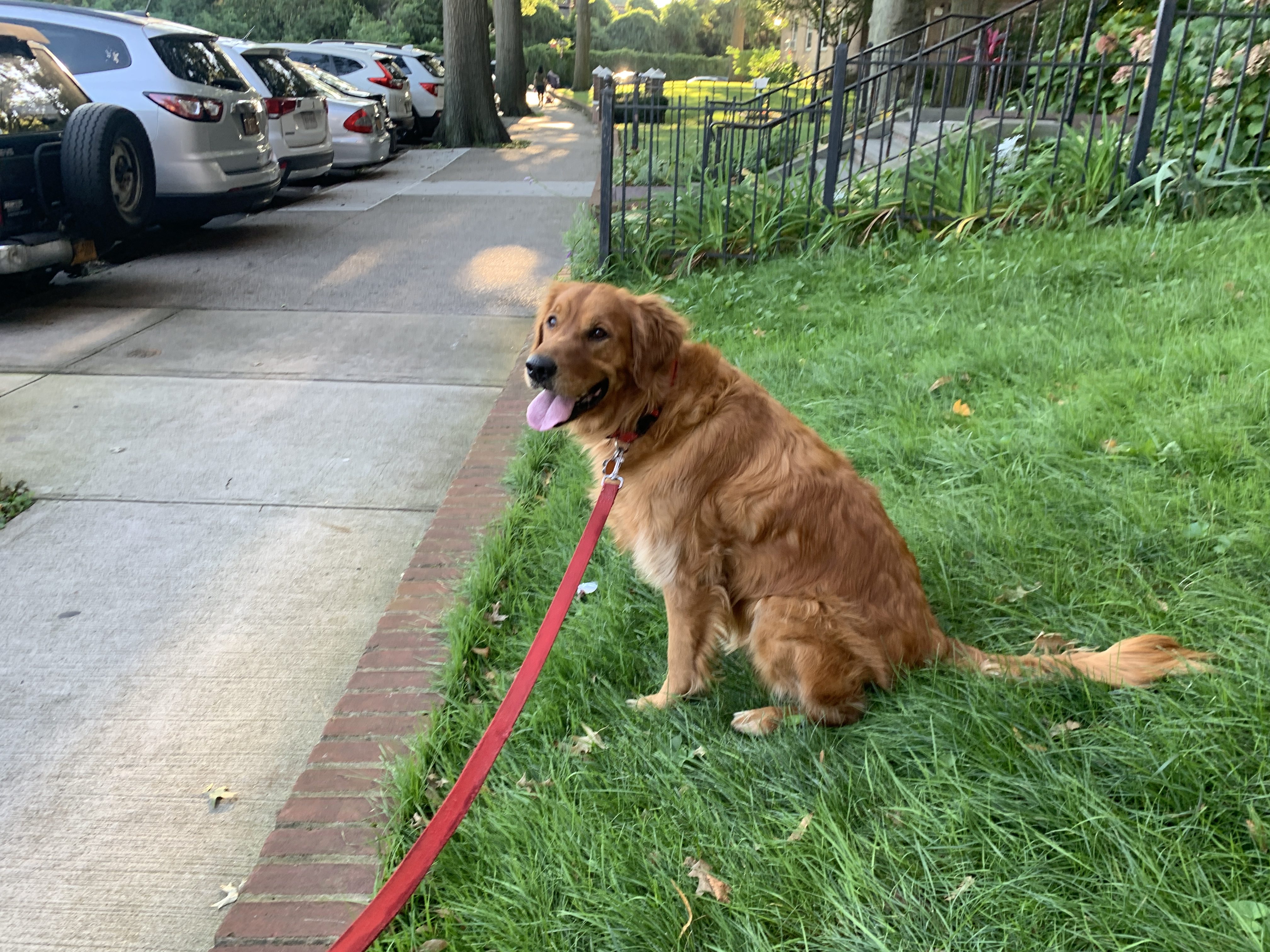 Who is a good boy? This guy.
