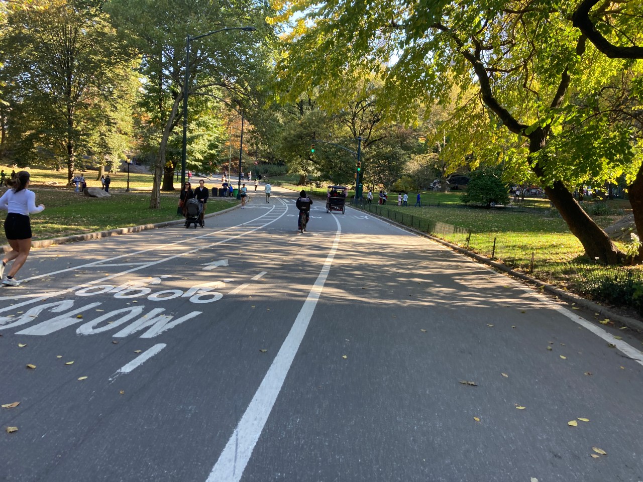 Central Park loop. Photo: Julianne Cuba