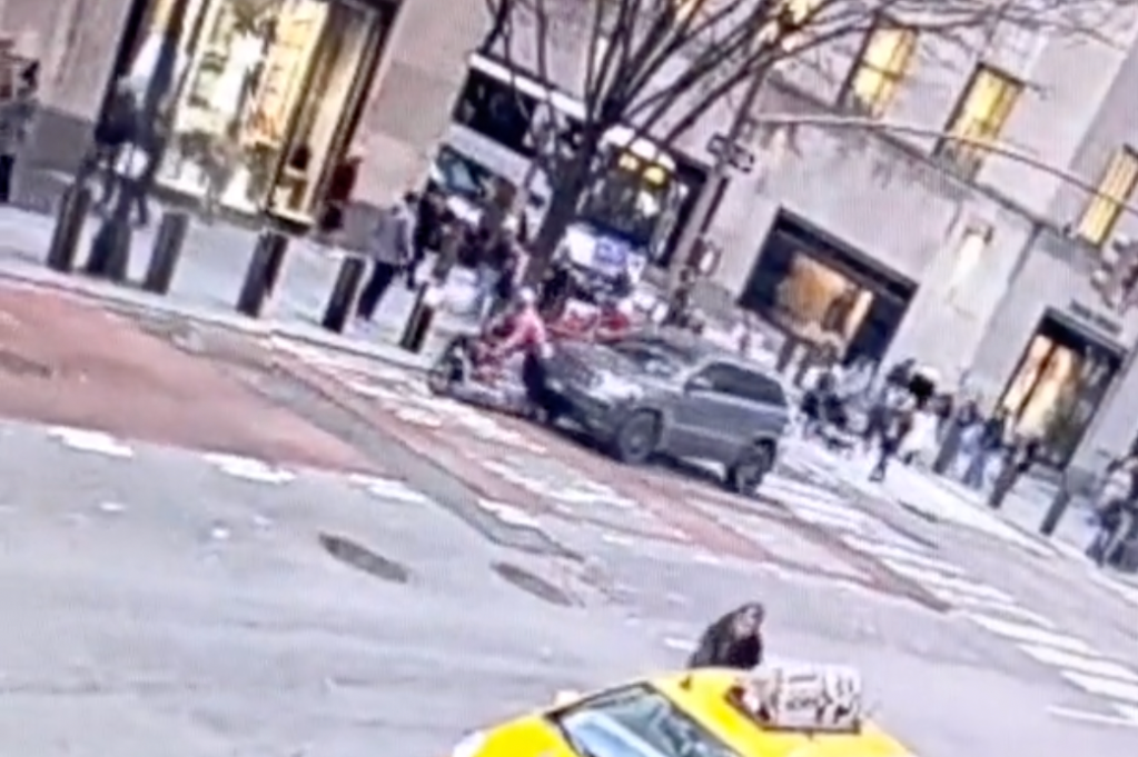 SEE IT: Hit-and-Run Scofflaw Driver Slams Cyclist (and Dog) on Cargo Bike on Fifth Avenue