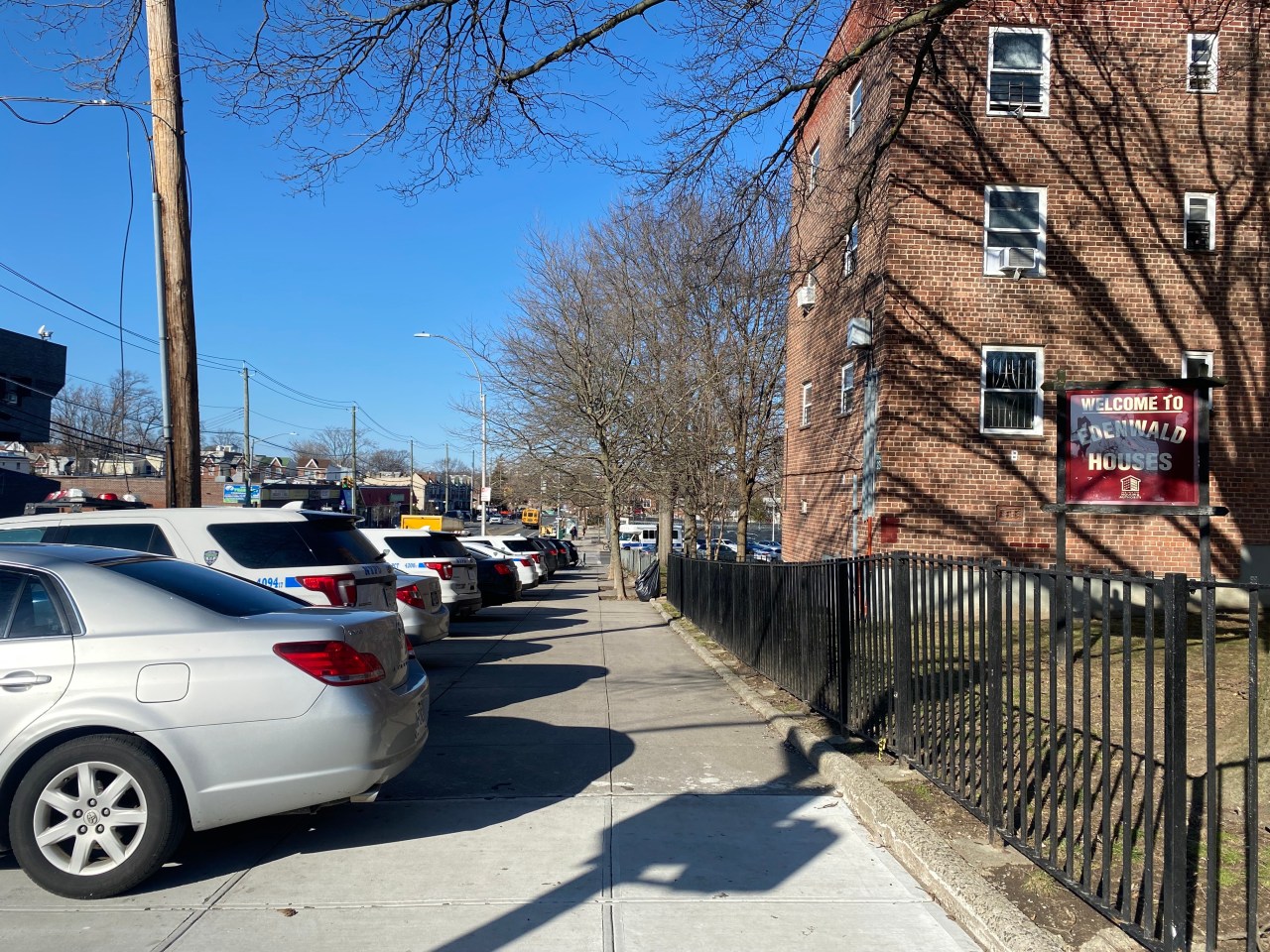 Cop cars parked with their exhausts facing the apartment windows of Edenwald Houses residents on Laconia Avenue.