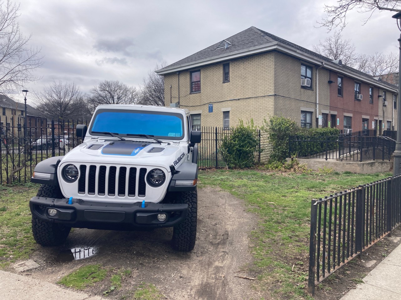 This patch of grass makes the perfect spot for these cops.