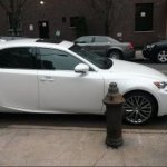 Photo of Placard Abuse