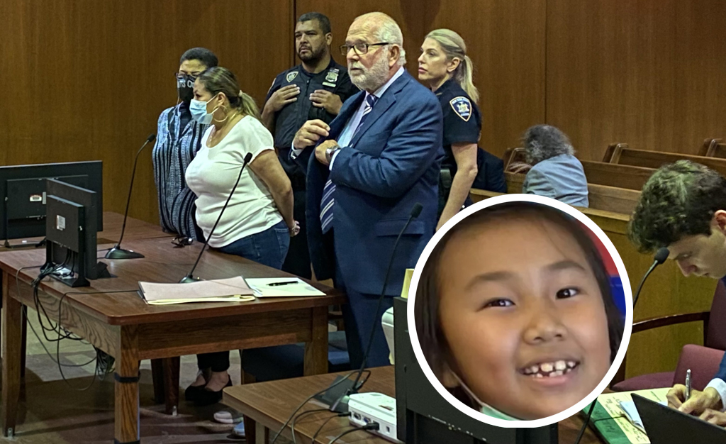 ‘Standard Practice’: Queens Panel Endorses Universal Daylighting as Driver Who Killed Dolma Goes to Court