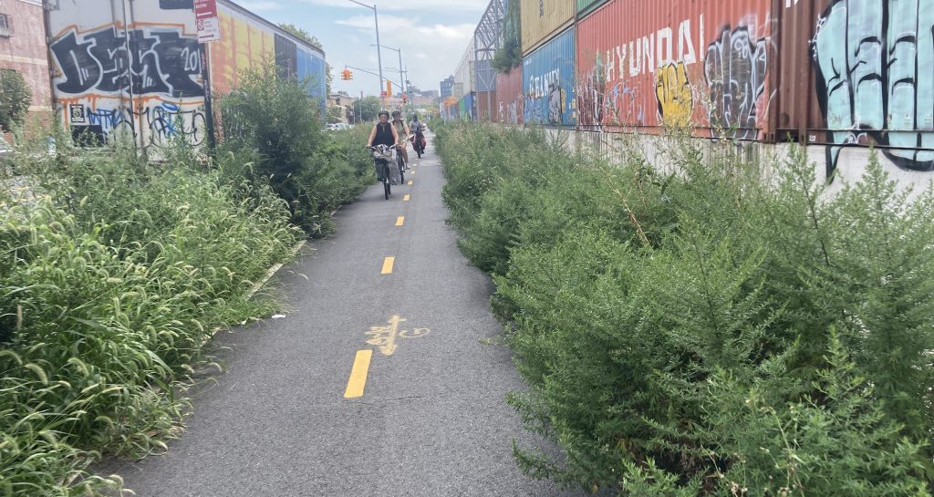 Too Green: City Neglects Overgrown Bike Paths