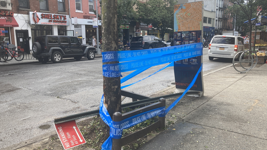 Speeding Driver Runs Red Light and Kills 18-Year-Old on Deadly Atlantic Avenue Speedway