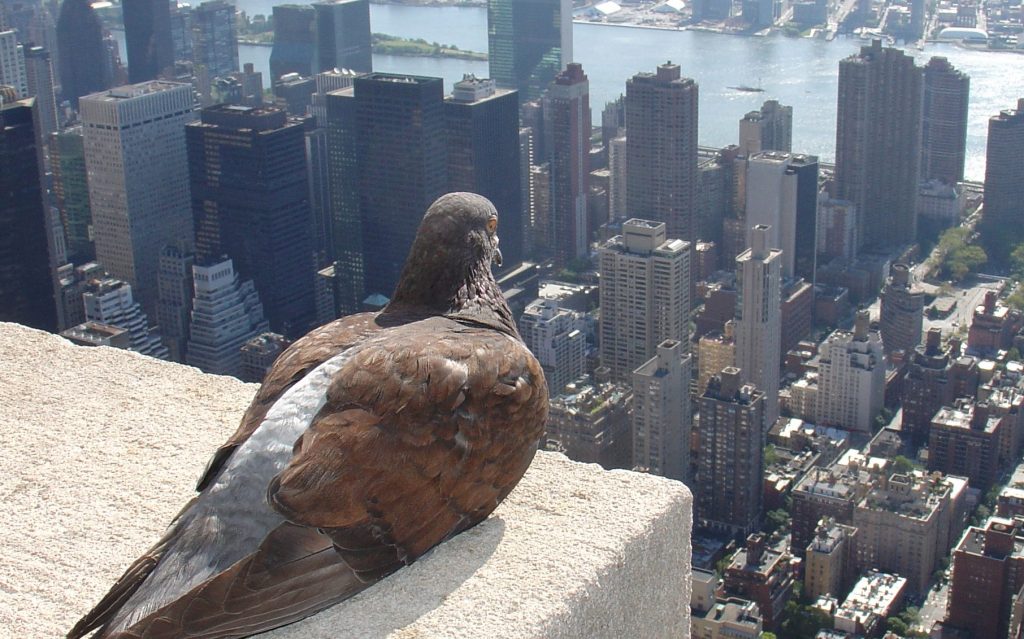 Friday’s Headlines: The Doldrums Edition