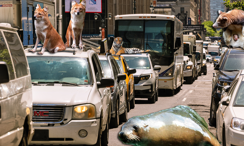 Thursday Headlines: UN Hypocrisy Week Edition