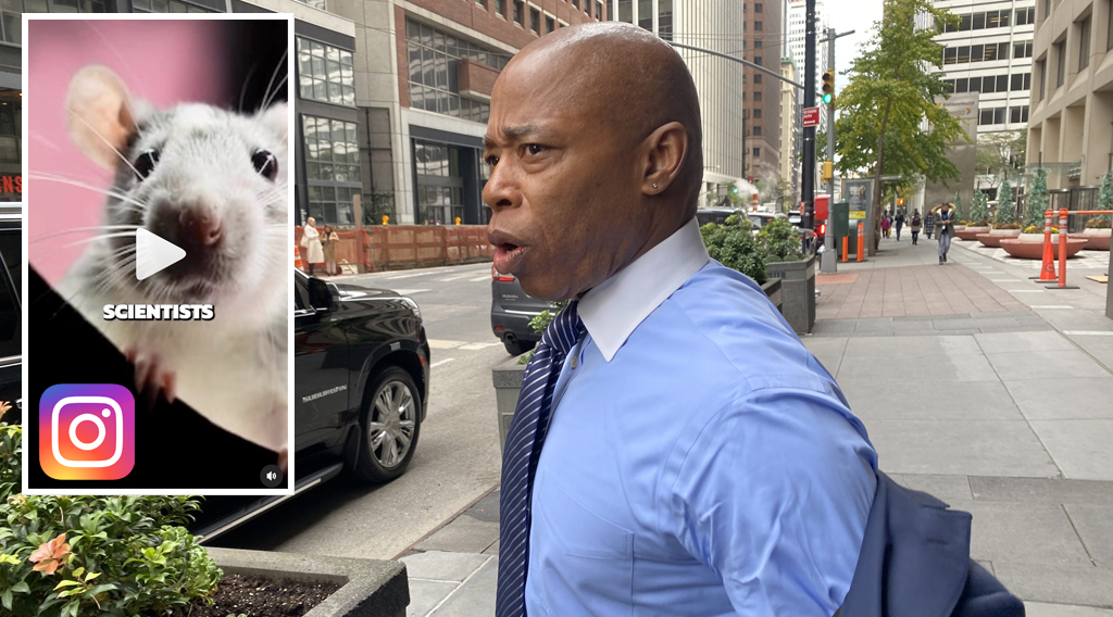 Adams Dismisses Bus, Bike Lane Mile Requirements At DOT Meeting