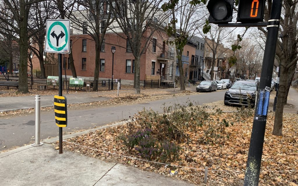 Seven Brooklyn Electeds Join Growing Calls For Universal Daylighting