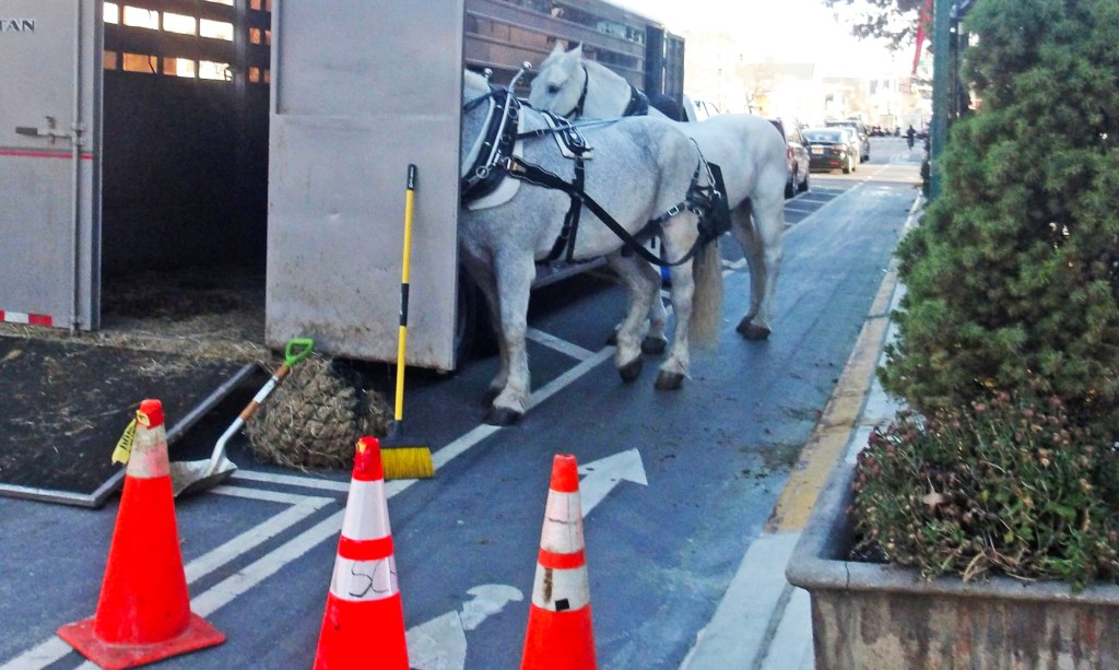 Friday’s Headlines: Weird Things in Bike Lanes Edition