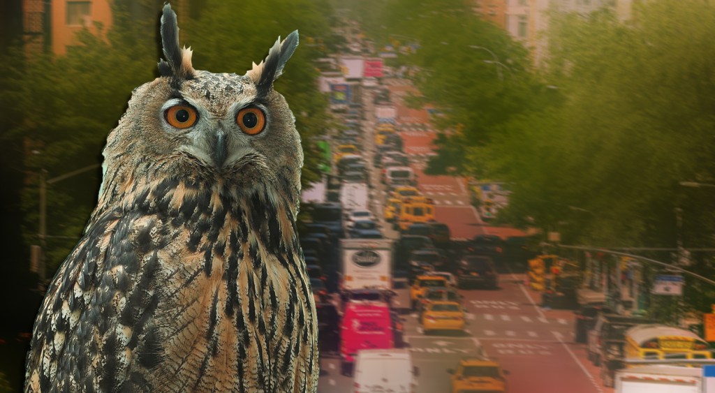 Monday’s Headlines: Flaco, We Hardly Knew Ye Edition