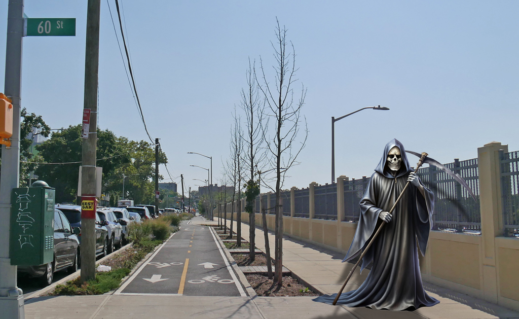 Dead Trees Highlight Multiple City Failures on Sunset Park Greenway