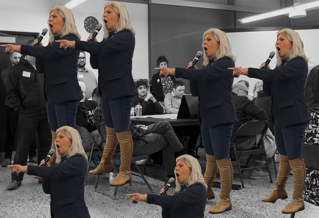 Op-Ed: We Just Want Safety While Vickie Paladino Wants Chaos and Danger