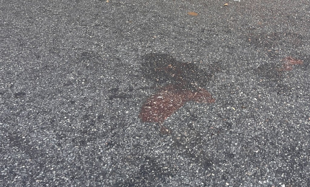 Friday’s Headlines: Jay and Tillary, Again Edition