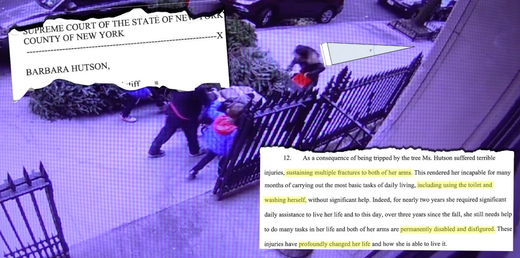 Cycle of Rage: Here’s Why Your Dead Christmas Tree Should Be in the Road, Not on the Sidewalk