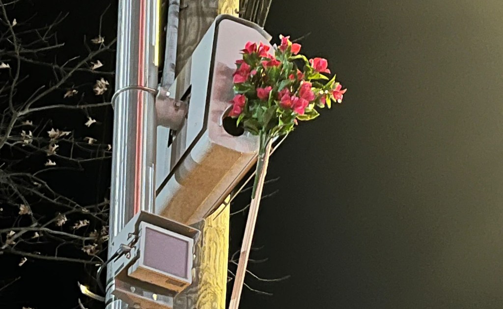 Staten Island Speed Camera Defacer, a Recidivist Reckless Driver, Has Charges Dropped by Sympathetic DA