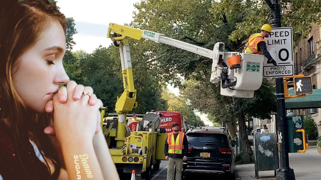 Greenpoint and Williamsburg Beg DOT for 20MPH Slow Zone