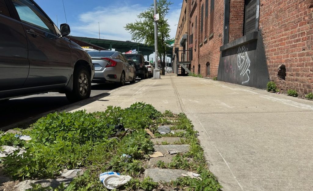 Arboricide! City Quietly Axes Street Tree Requests