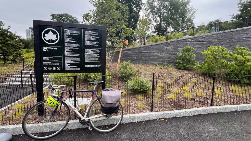 Friday’s Headlines: In the Swim Edition