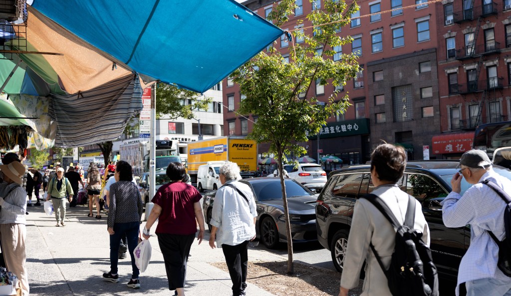 Parks Dept. to Canal Street: ‘No Trees for You!’
