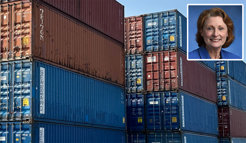 Con: Why I Voted ‘No’ on the Brooklyn Marine Terminal Vision Plan